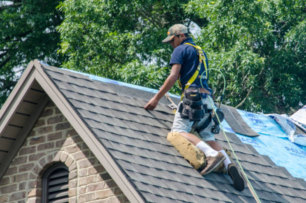 Best New Roof Installation  in Bawcomville, LA